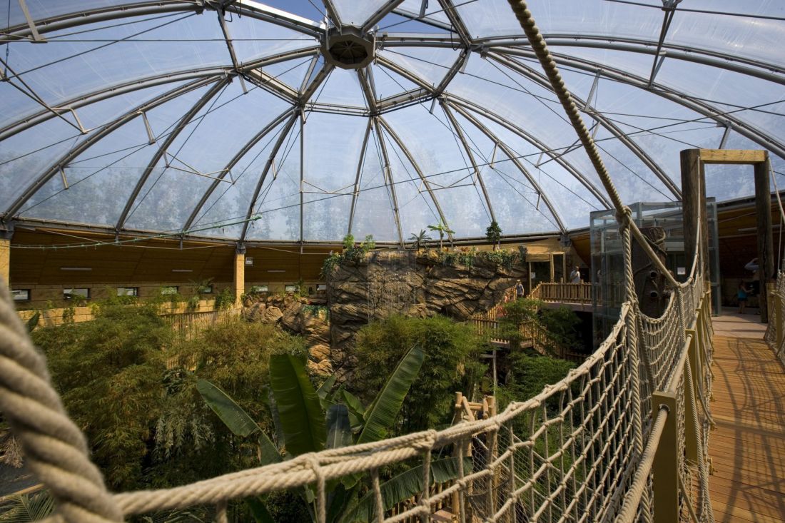 Zoo w Sóstó, Węgry
