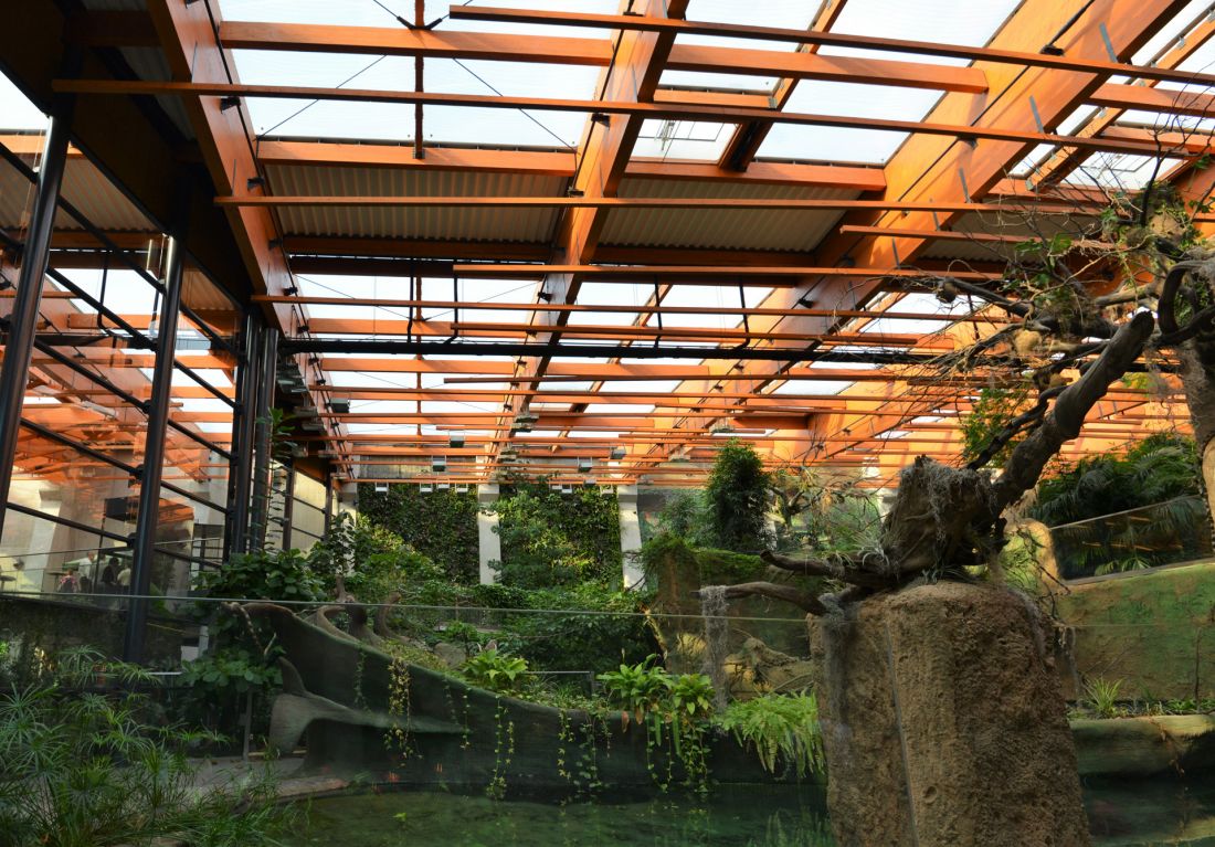 Afrykarium-Oceanarium we Wrocławiu