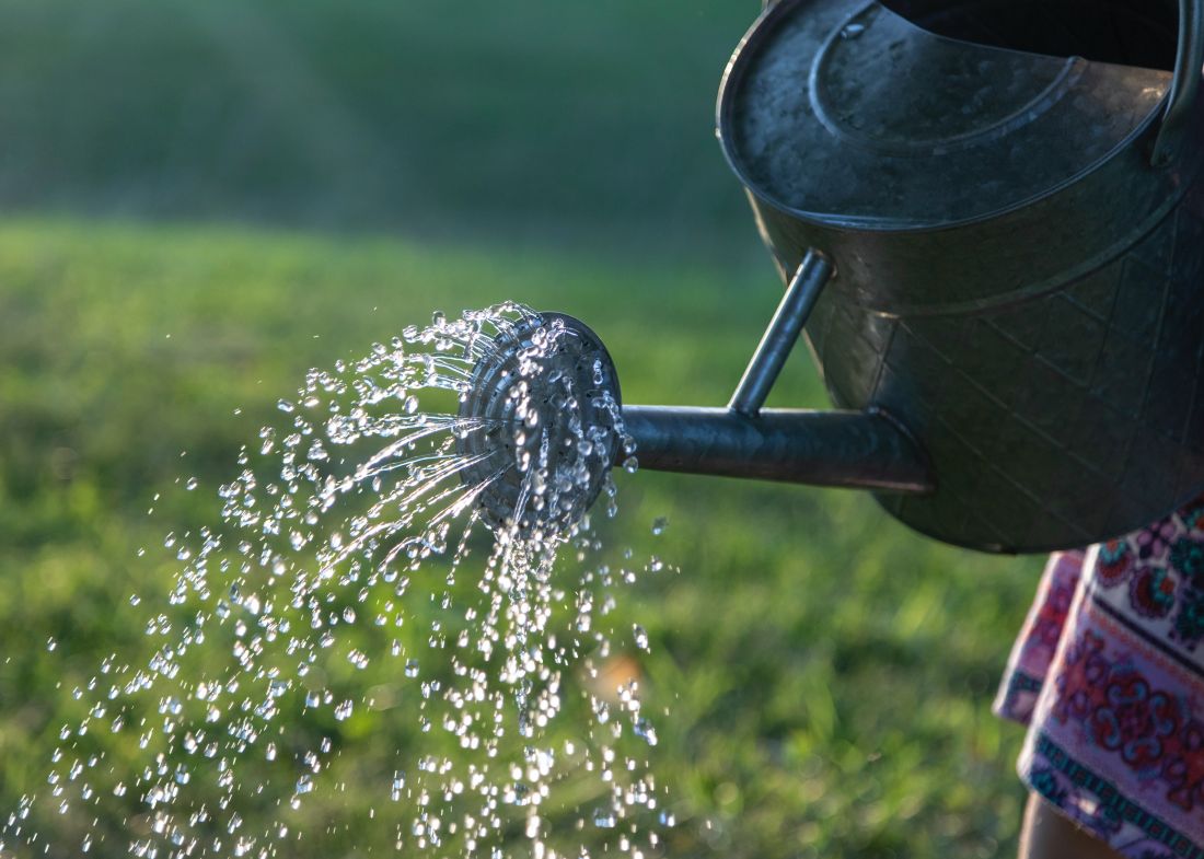 Woda, zgromadzona podczas ulewy, może być używana do podlewania ogrodu w czasie suszy. Dzięki systemom gospodarowania wodą deszczową ochrona klimatu idzie w parze z ochroną Twojego gospodarstwa przed dotkliwymi skutkami suszy.