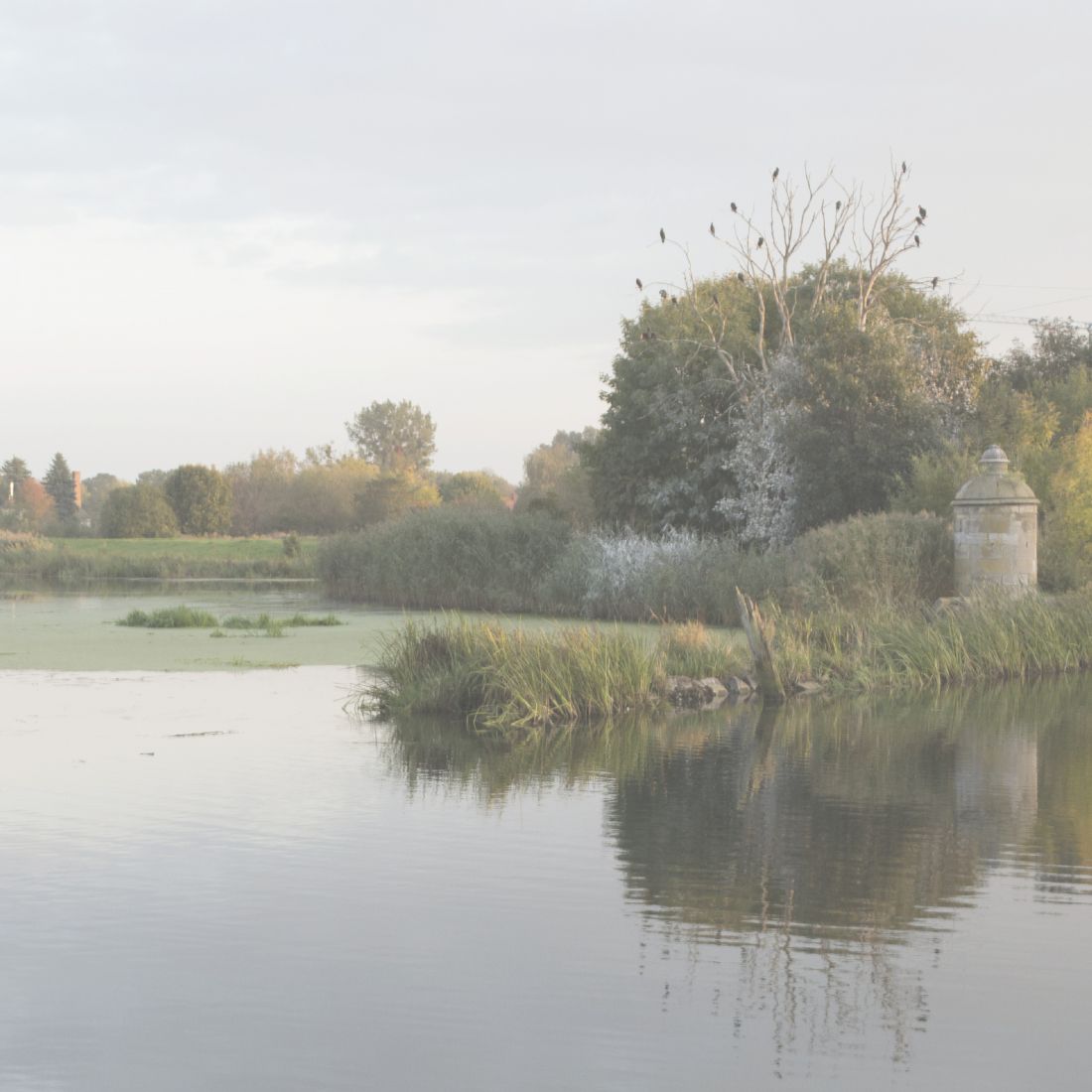 Okolica Śluzy Kamiennej