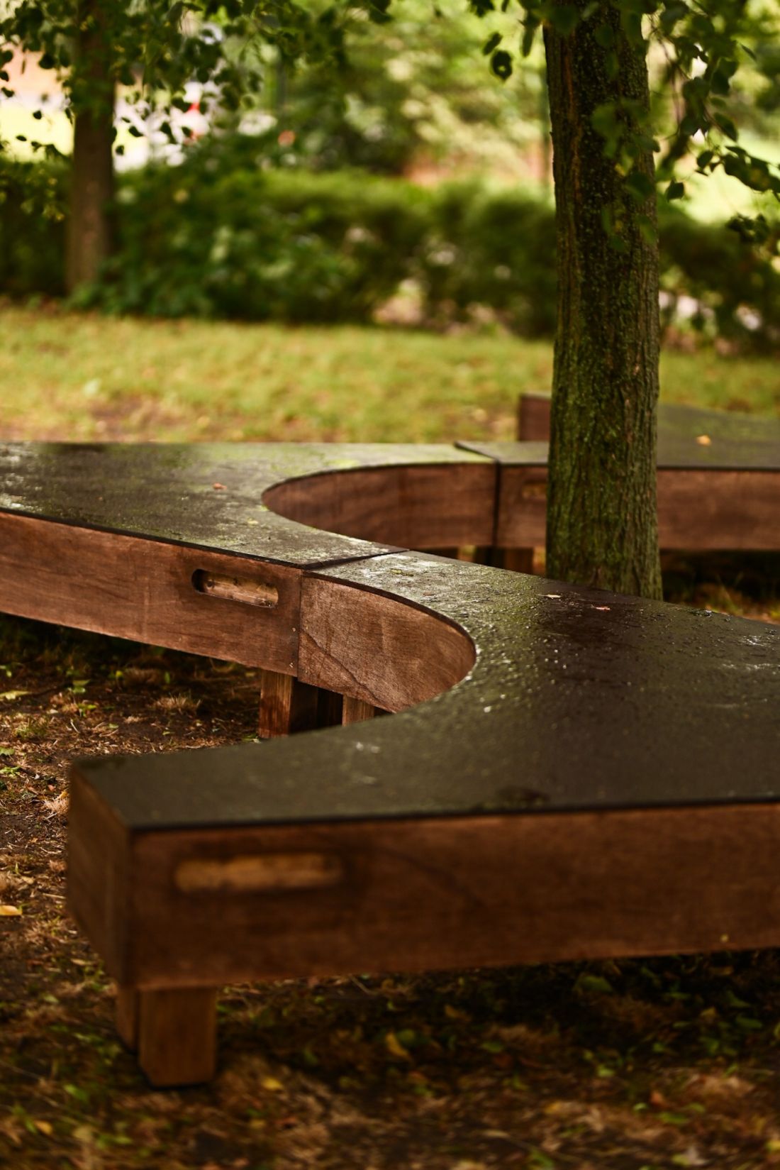 warsztaty Mood for Wood 2023 na Malcie w Poznaniu