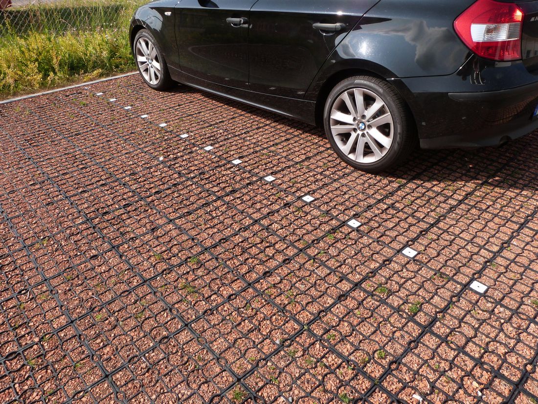 EcoRaster