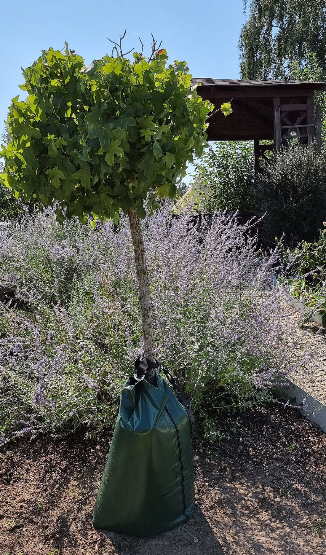 WaterBagVertica