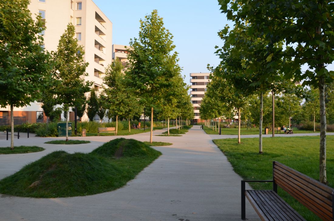 nagrodzony Park Czyżyny