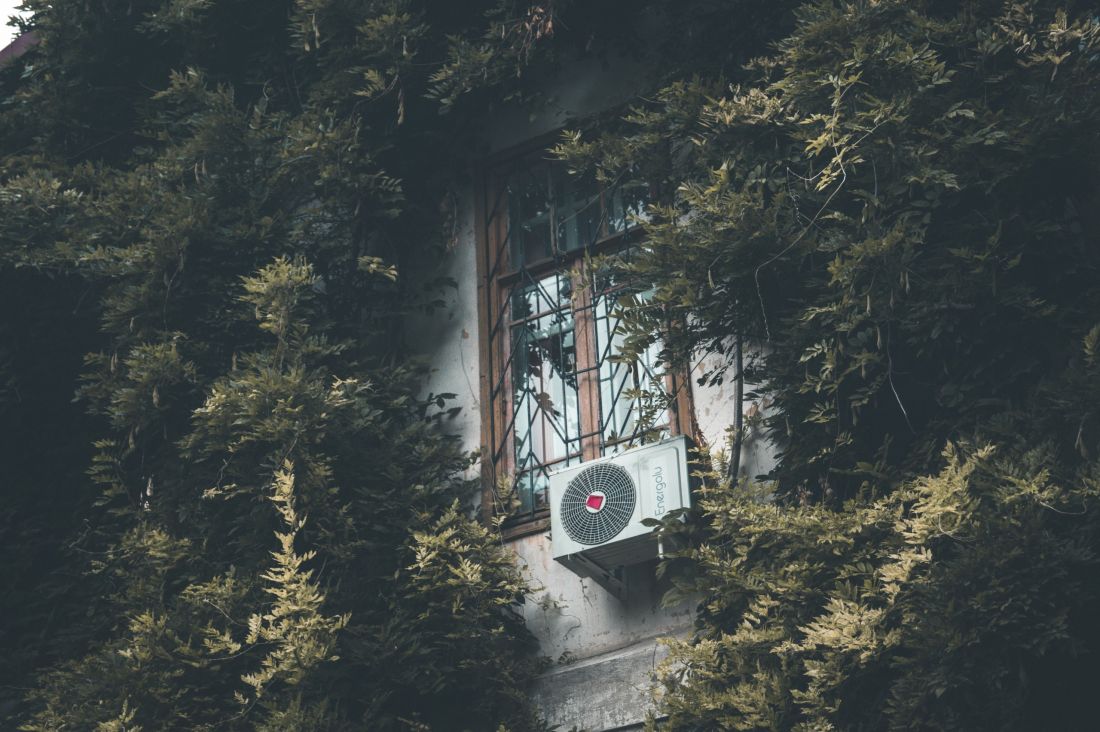 Rozważ posadzenie roślin pnących, które będą stanowiły dodatkową warstwę termoizolacyjną, chroniącą przed upałami.