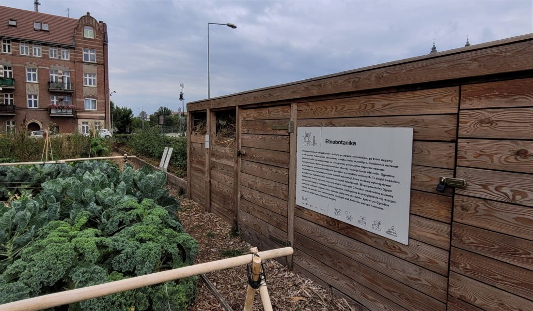 Rzeczny Ogród EkoEdukacji, ul. Ostrówek / Brama Poznania, Poznań