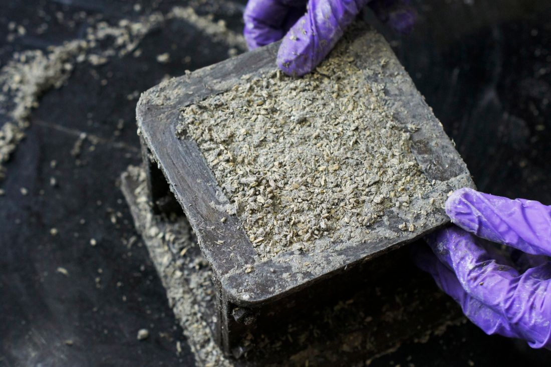 Beton konopny jest biodegradowalnym materiałem budowlanym. Może być wyrabiany i formowany na miejscu.