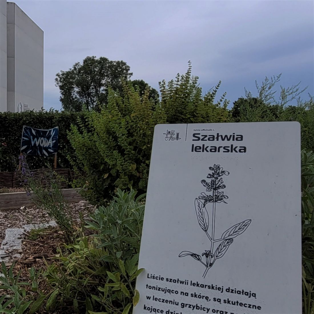 Eksperymentalny Ogród Dziedzictwa przy Bramie Poznania