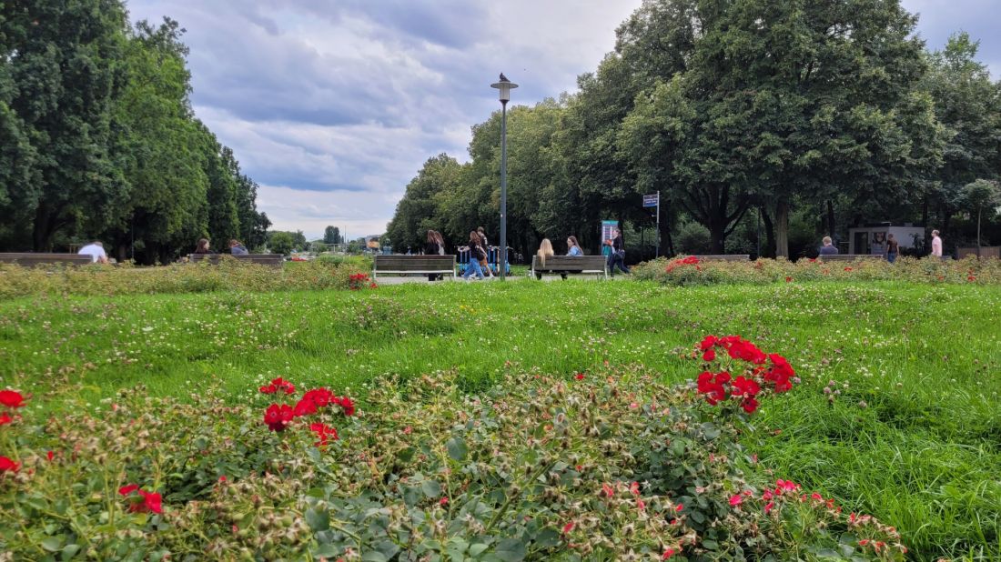 Zielony łącznik między ul. Królowej Jadwigi a terenem przy stadionie Szyca. Multikino 51 po lewej za kadrem 
