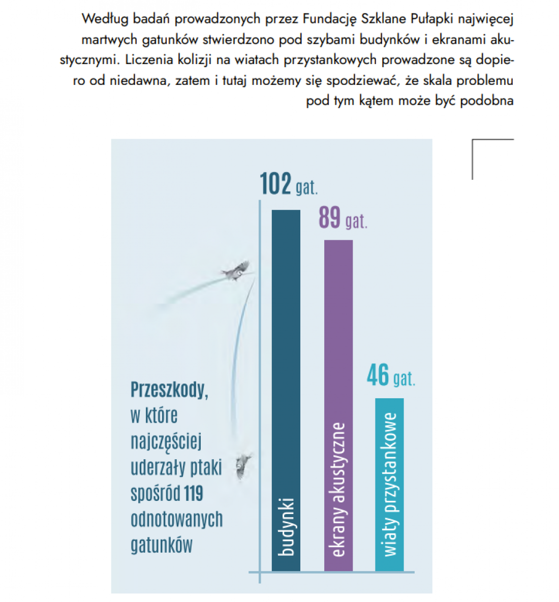 Kolizje ptaków z transparentnymi powierzchniami - kompendium wiedzy