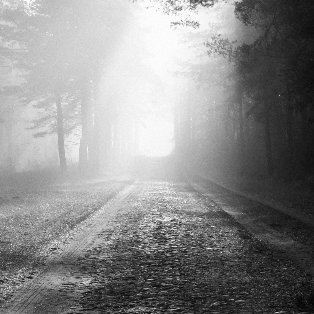 fotografia stanu istniejącego