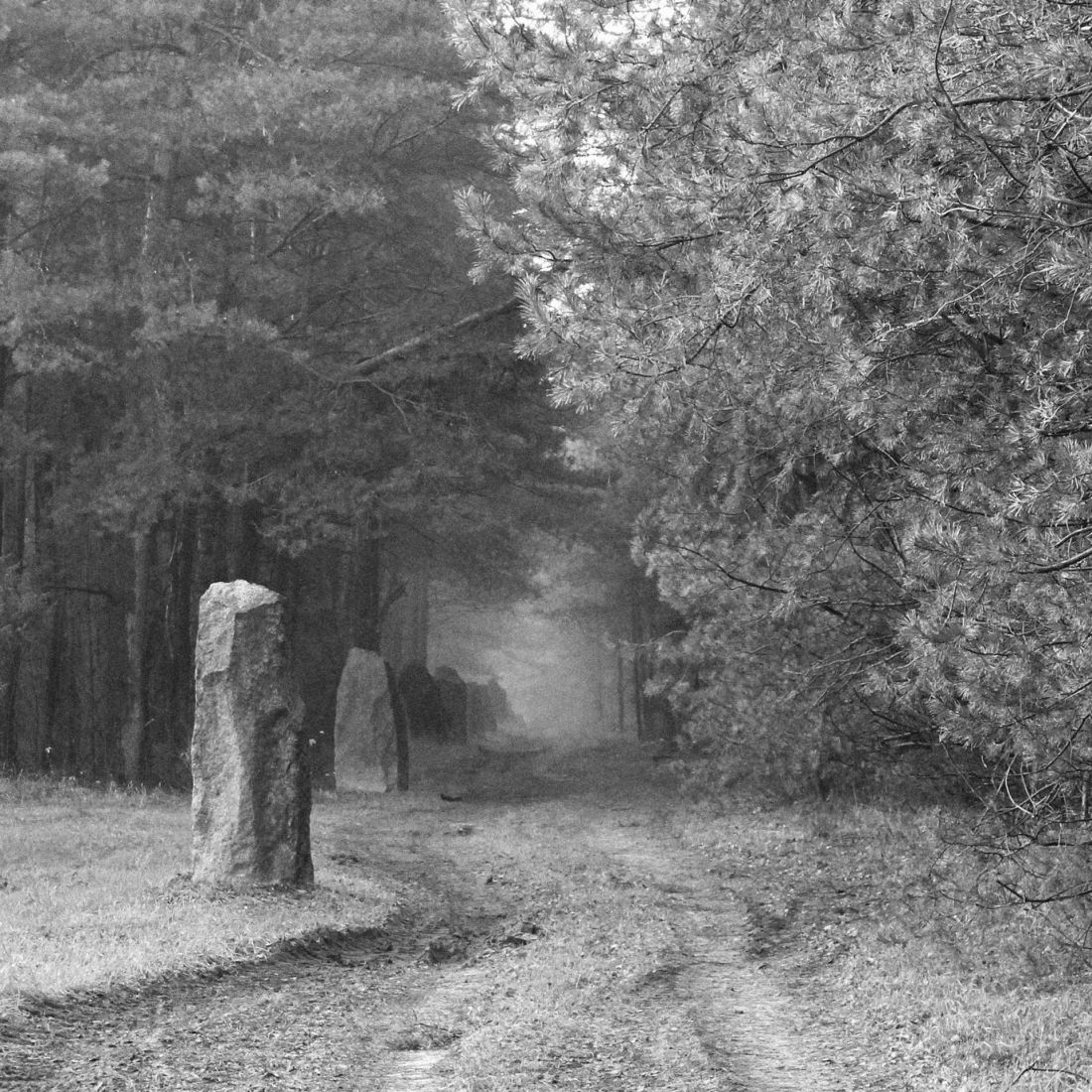 fotografia stanu istniejącego