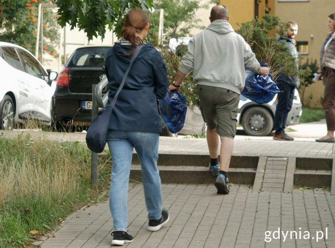 krzewy zostały zabrane przez mieszkanki i mieszkańców Gdyni