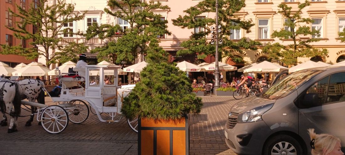 donice znajdują się w miejscach, gdzie zaproponowano posadzenie drzew