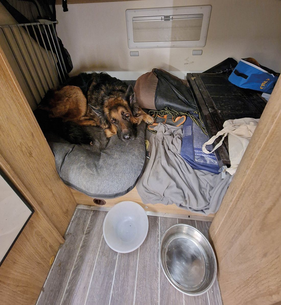 Miś i jego luksusowy, wentylowany psi apartament z chronionym moskitierą balkonem i klimatyzacją w razie upałów; wśród miłośników zwierząt jest to bardzo doceniana innowacja