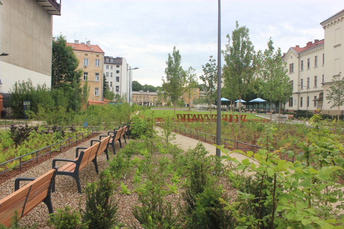 pomysł na umieszczenie pomnika Orląt Lwowskich wyszedł ze strony prezydenta Krakowa i uzyskał aprobatę większości radnych