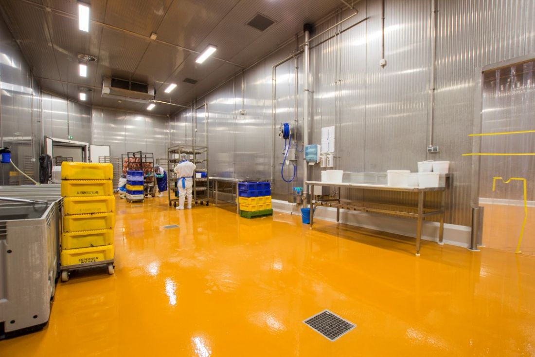 posadzki Flowfresh w przetwórni ryb Seamor w Szczecinie