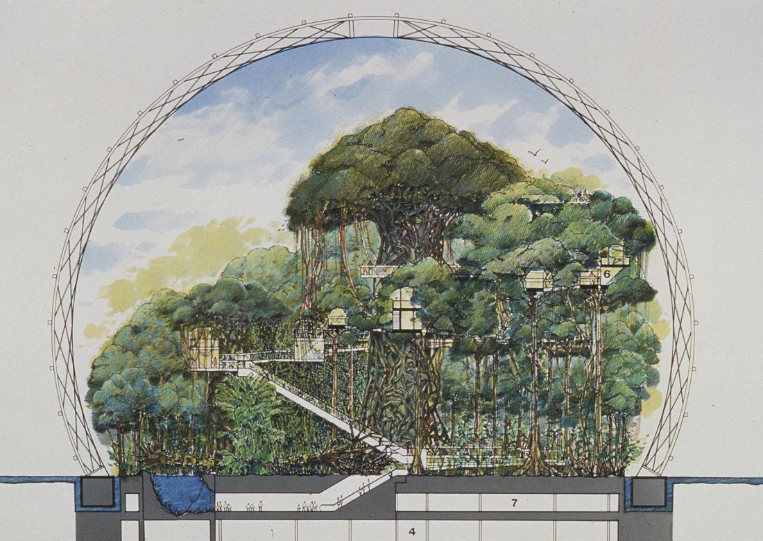 przekrój pawilonu lasu deszczowego Tsuruhama, Osaka, Japonia, proj.: Cambridge Seven Associates, 1993-1995