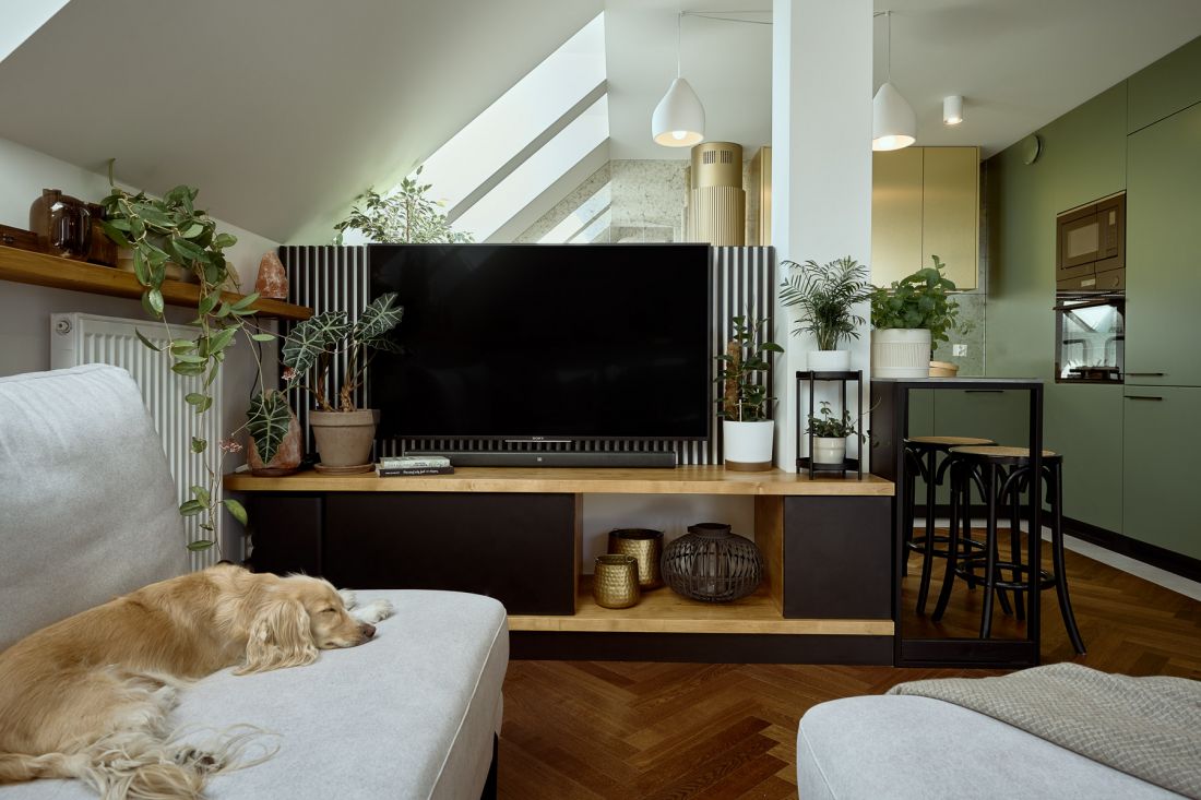 Otulony promieniami słońca. Rodzinny apartament w stylu urban jungle