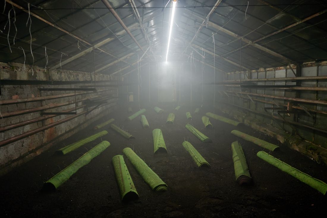 Instalacja Cezarego Poniatowskiego 