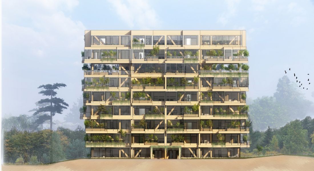 Hotel, Patrycja Mróz