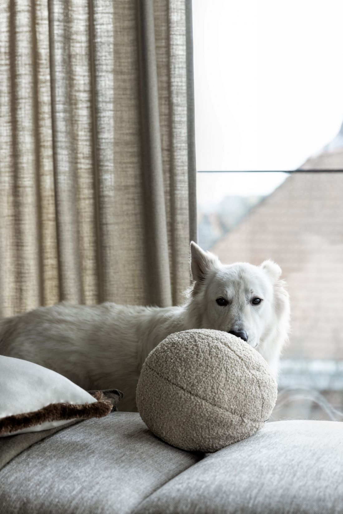 Apartament zamieszkuje także pies Igor