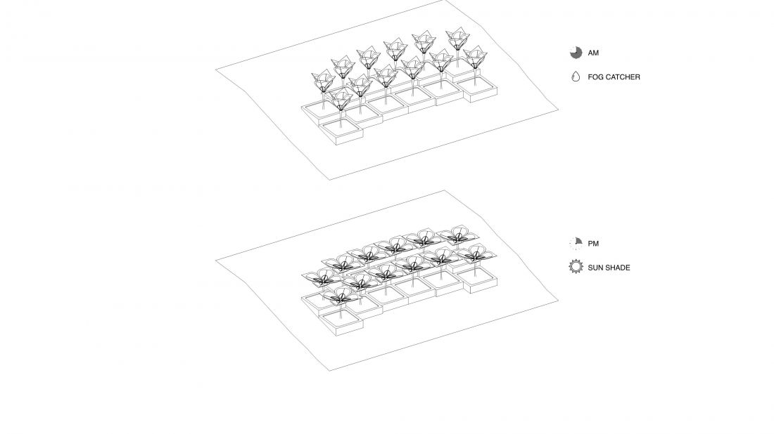 Projekt Cloud Catching Canopy, w ciągu nocy i dnia