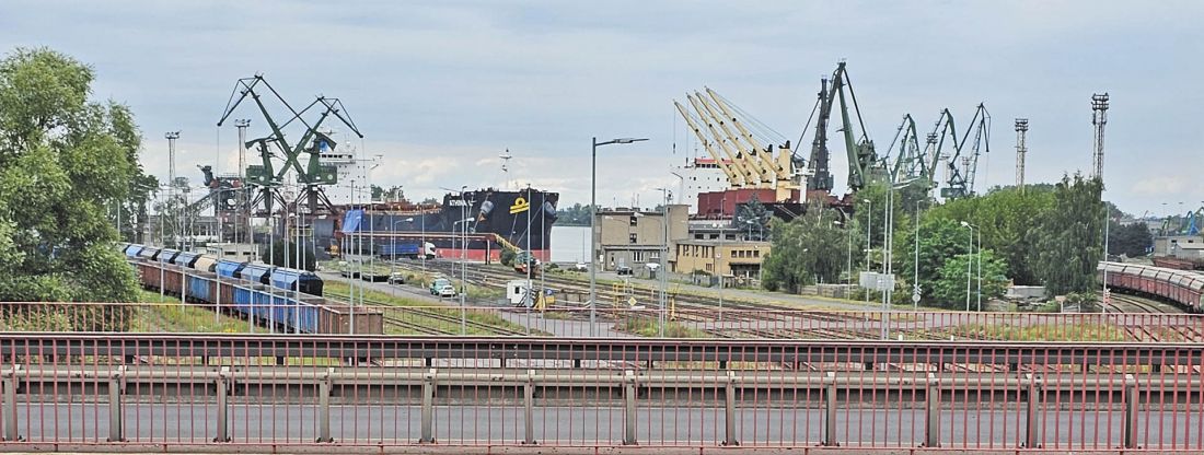 szczeciński portowy skyline usiany jest „żywymi” żurawiami i dźwigami