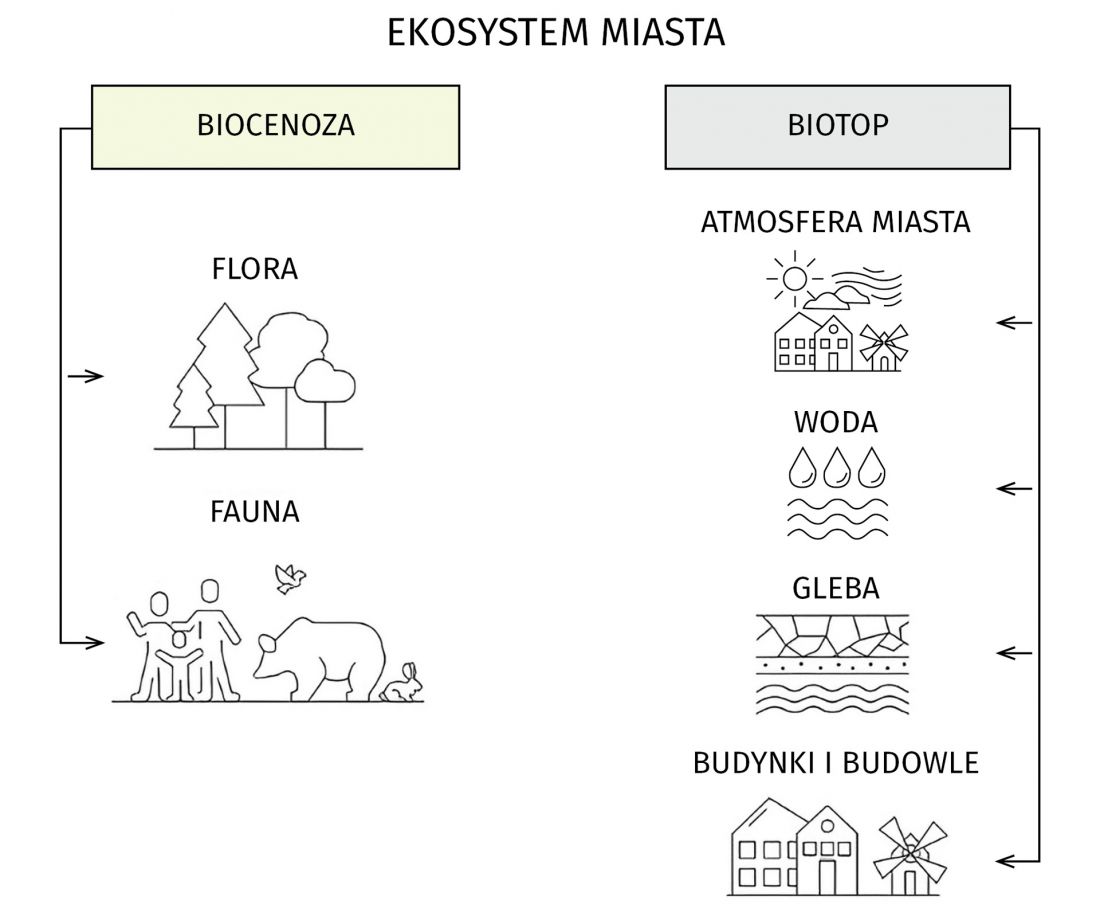 EKOSYSTEM MIASTA