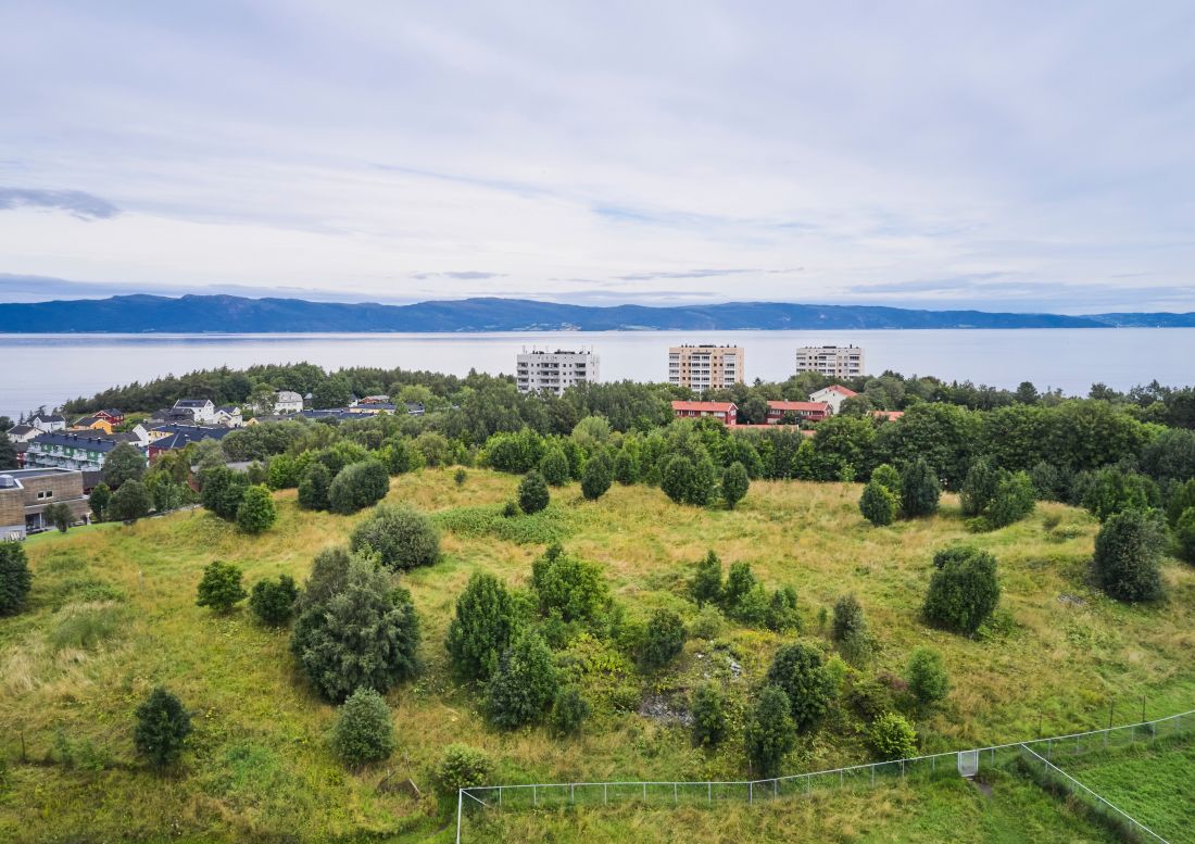 Zdjęcie terenu Østmarka