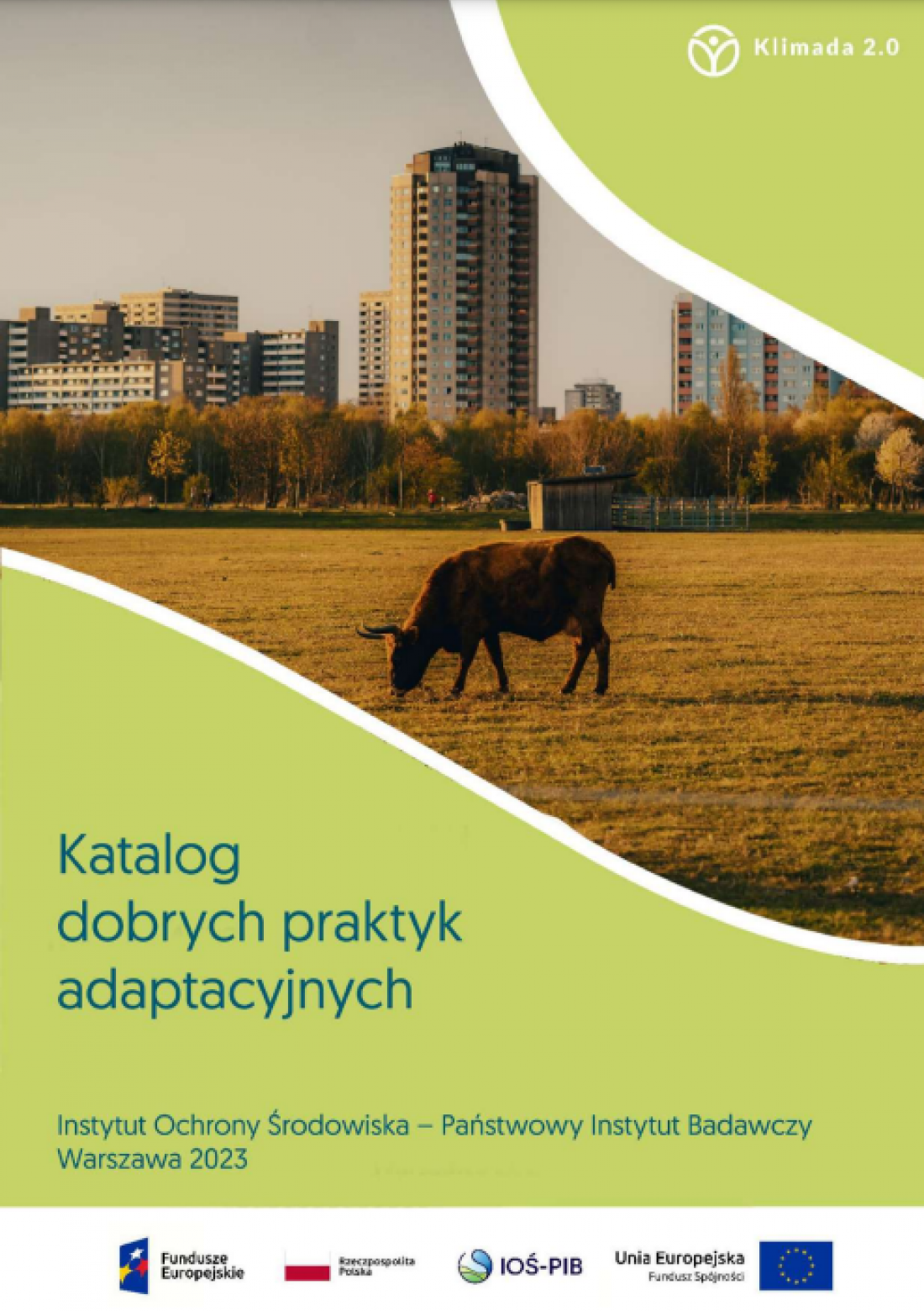 autorami katalogu są