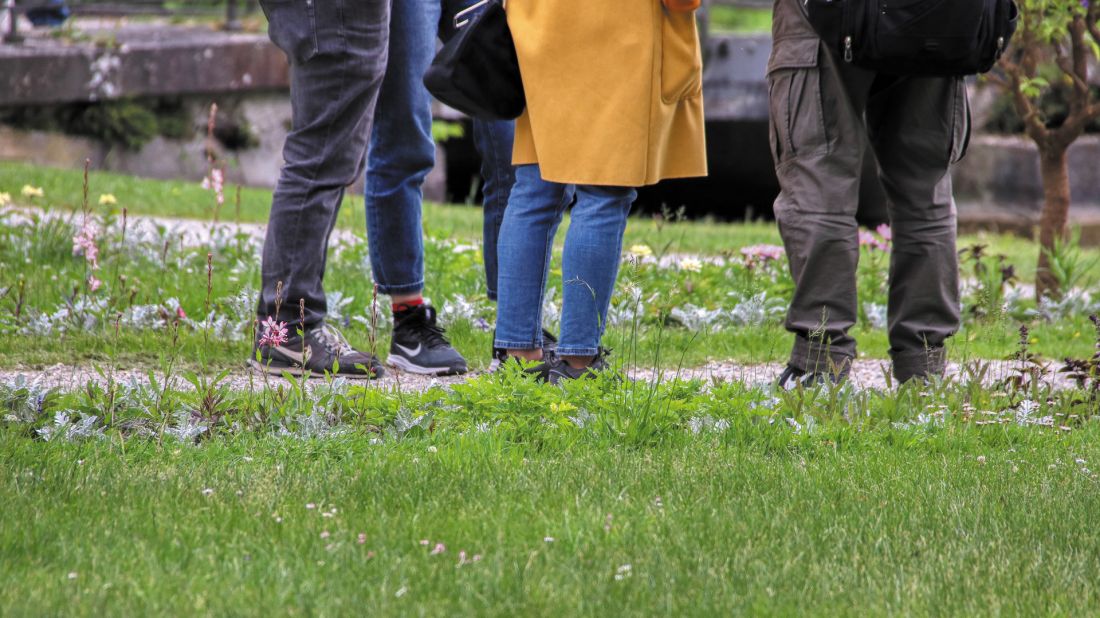 zmiana mentalności w planowaniu miast powinna dotyczyć między innymi rozumienia terenów zielonych; bez precyzyjnej analizy myślenie o przyrodzie w mieście jest dysfunkcyjne, sprowadza ją do elementu dekoracyjnego 
