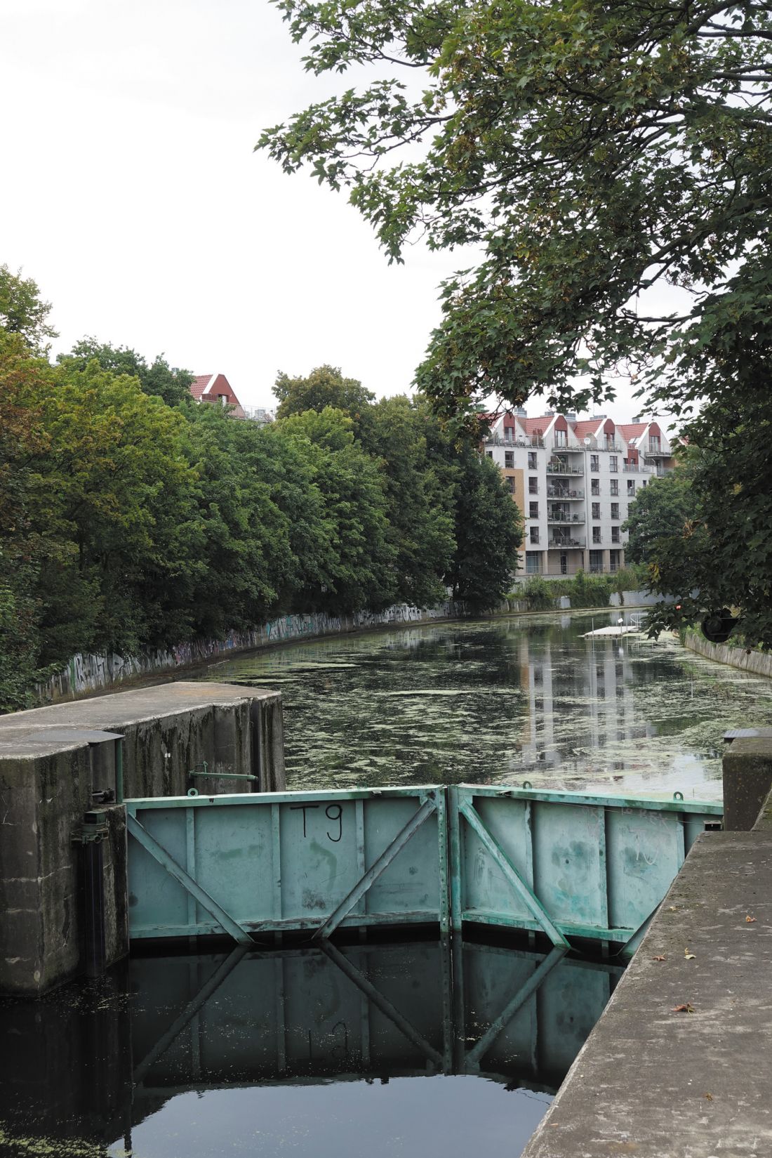 historyczne fortyfikacje w Gdańsku są interesującym przykładem przejęcia dzieła rąk ludzkich przez naturę; Nowa Motława przy Kamiennej Śluzie, Gdańsk