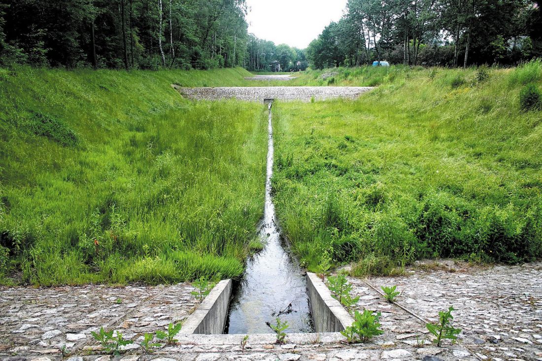 ekohydrologiczny system oczyszczania wód burzowych rzeki Sokołówki w Łodzi 