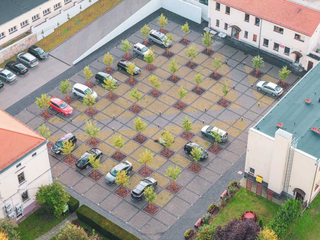 wokół nasadzeń wykonano buforowe strefy zieleni
