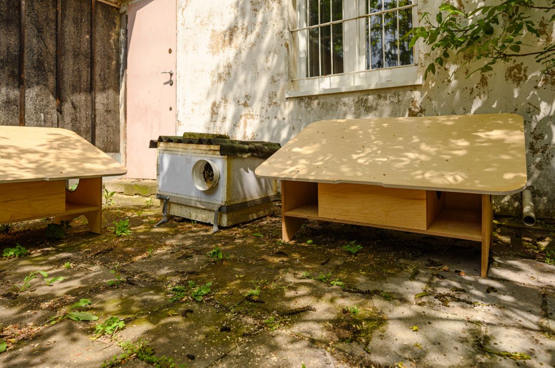 tutor: Atelier Starzak Strebicki