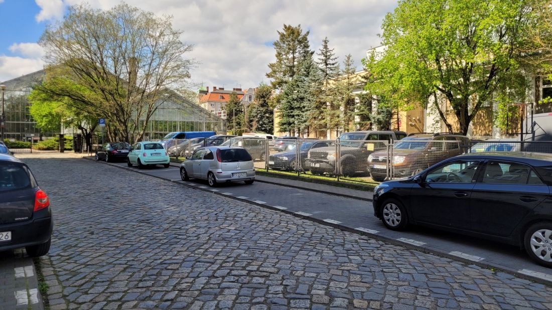 ul. Parkowa stanowiąca łącznik „zielonej rzeki” z parkiem Wilsona (palmiarnia — po lewej)