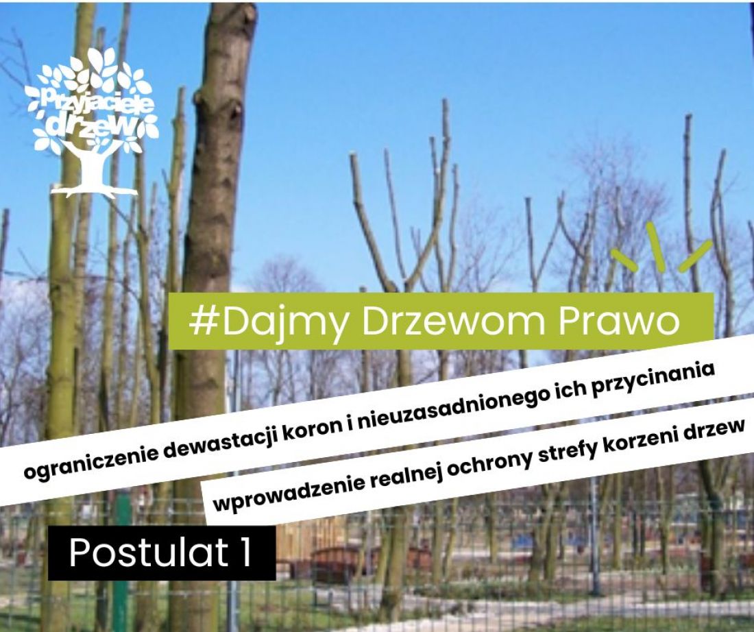 pierwszy postulat