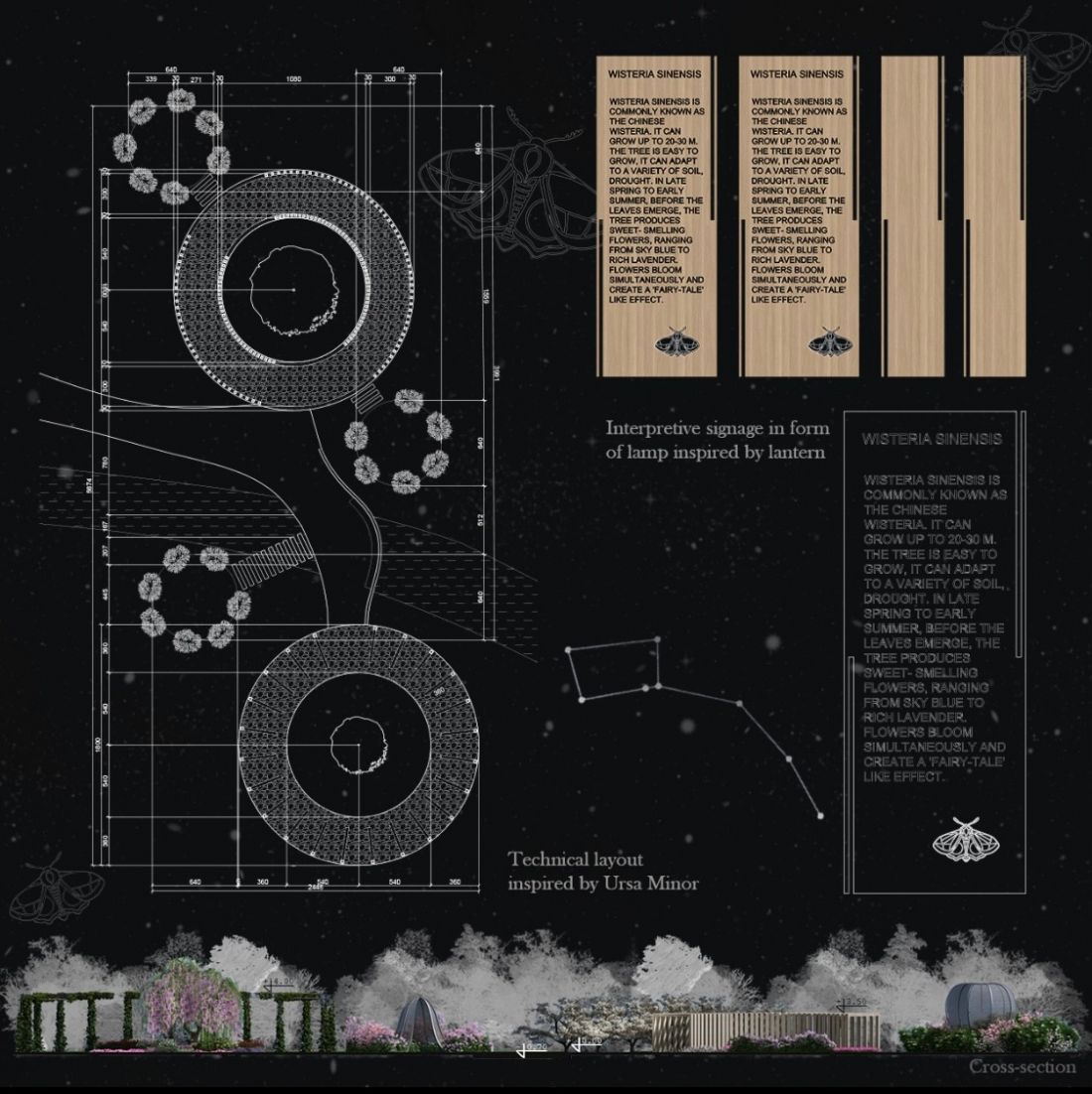 „Olfactory Night Garden – Celestial Scents”