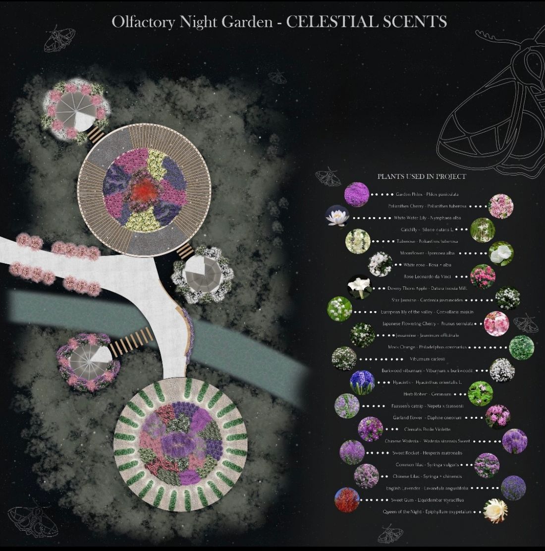 „Olfactory Night Garden – Celestial Scents”