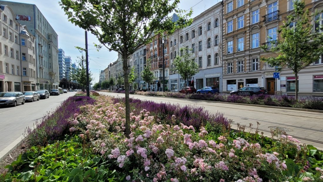 śródmieście Poznania po remontach w ramach Projektu Centrum