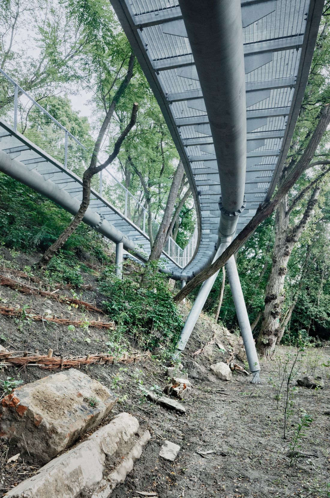park został dostosowany do potrzeb osób z niepełnosprawnością