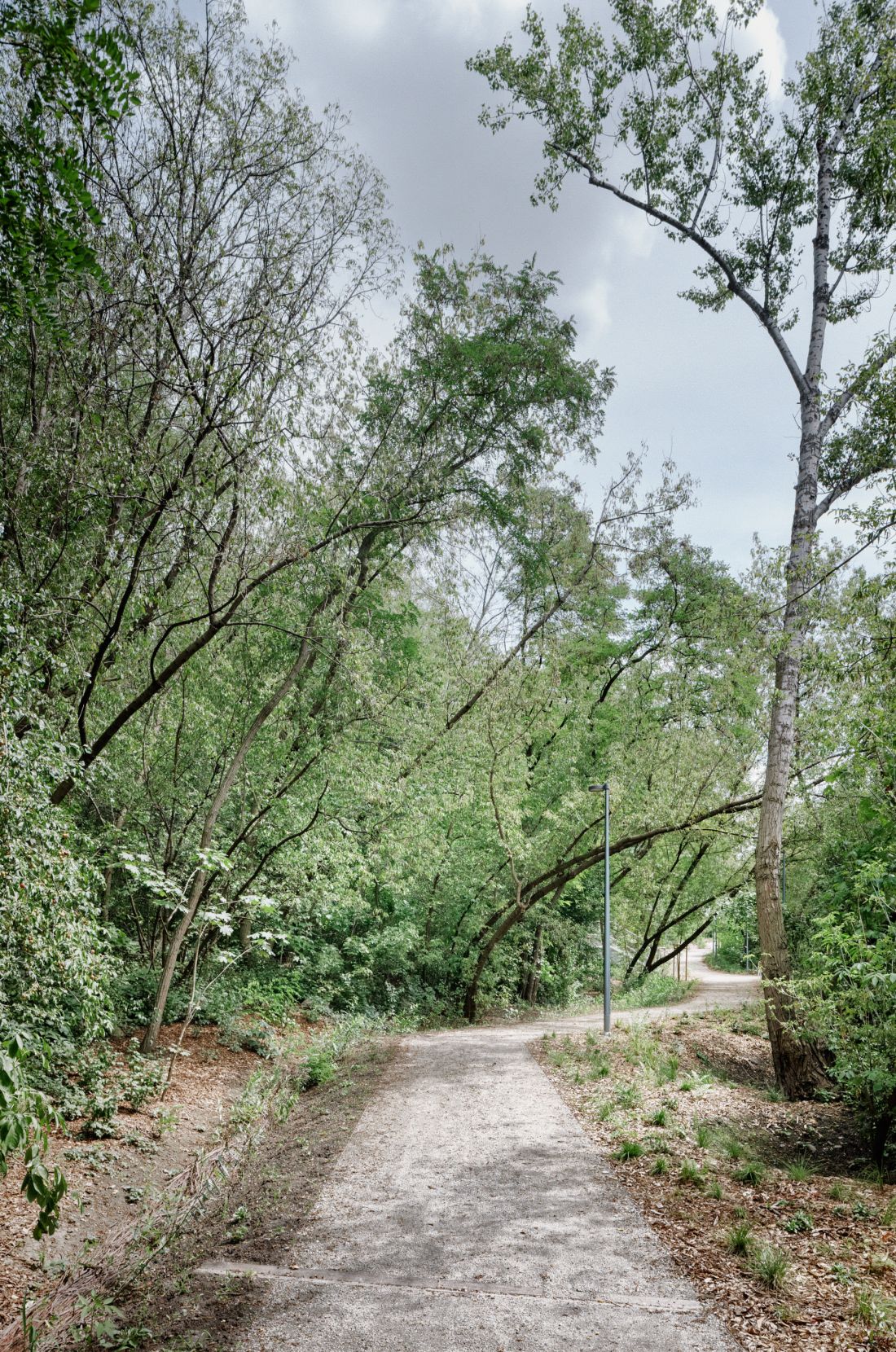 park pod Kopcem Powstania Warszawskiego