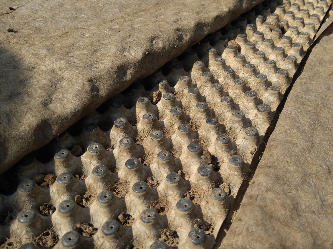 element drenażowy FD 25 po 13 latach