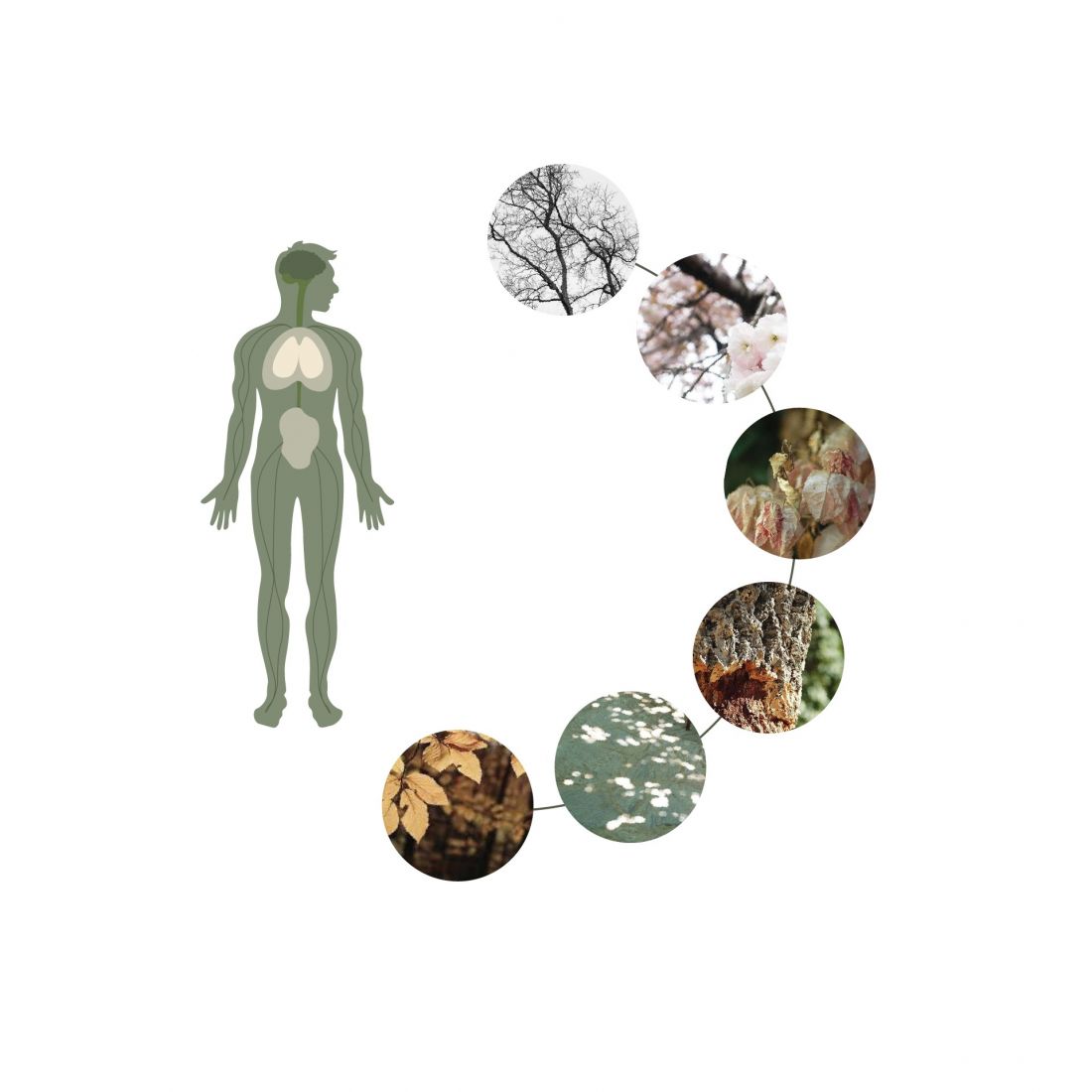 Biofilia