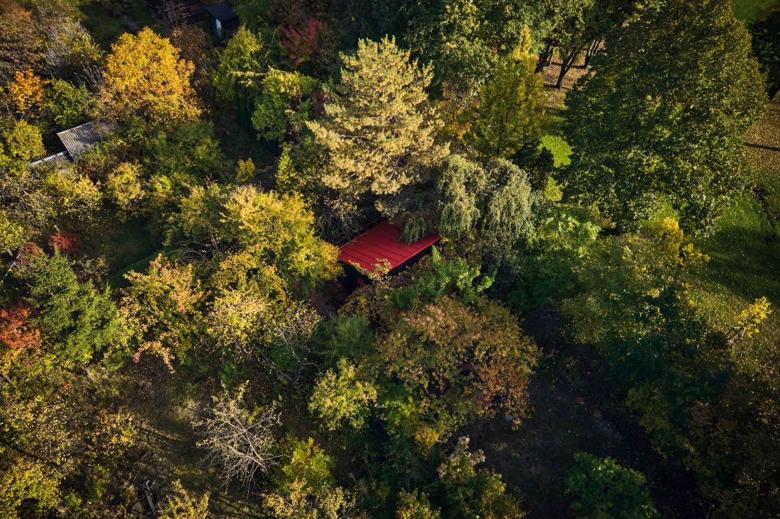 Dom koloru na ogródku działkowym od NOKE Architects