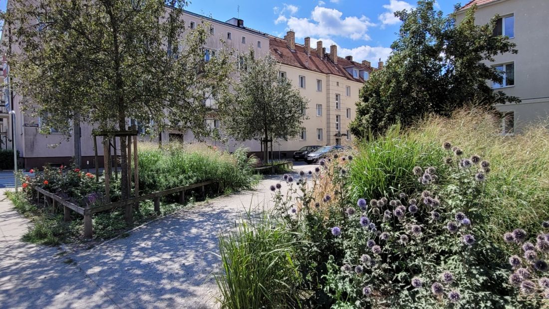 przestrzeń odzyskana pod zieleń - nowe skwery w Poznaniu