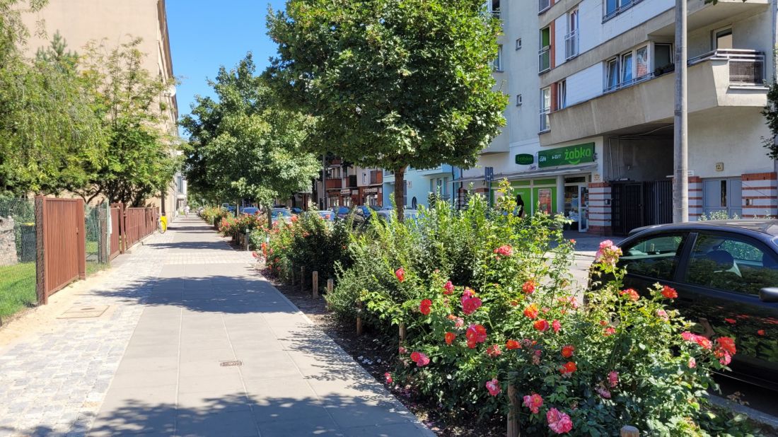 przestrzeń odzyskana pod zieleń - nowe skwery w Poznaniu