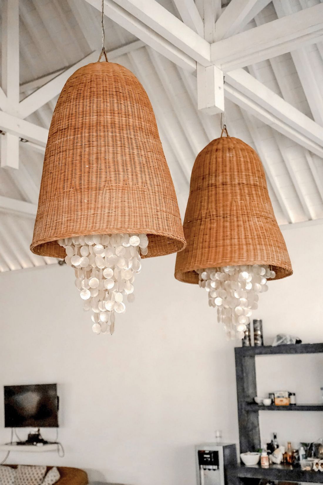 LAMPA SHELL