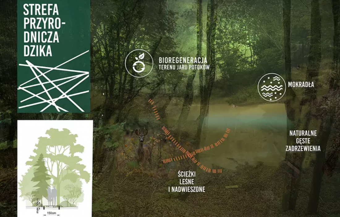 Masterplan zakłada podział parku na cztery strefy, w tym dziką - z minimalną ingerencją człowieka